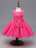Lace Design Formal Gown