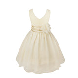 Elegant Floral Waist Band Dress