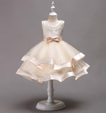 Elegant Princess Formal Dress