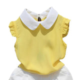Chiffon Design Pan Collar Blouse