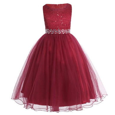 Lace Mesh Formal Dress