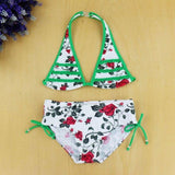 2 Piece Rose Patter Bikini